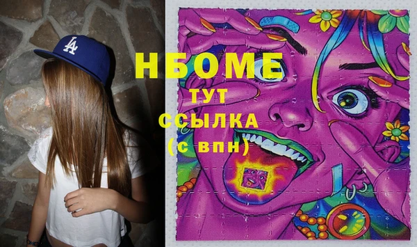 прущий лед Новозыбков