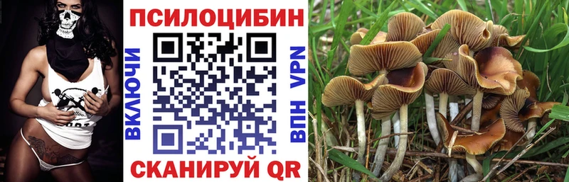 Псилоцибиновые грибы Magic Shrooms  Никольское 