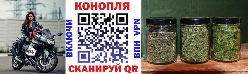 цена наркотик  Никольское  Бошки Шишки Ganja 